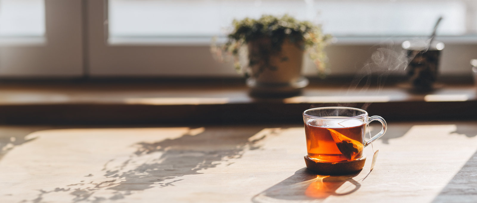 A cup of tea in a glass mug sitting in autumn sunshine