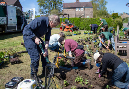 Planting flowers with Transition Crich