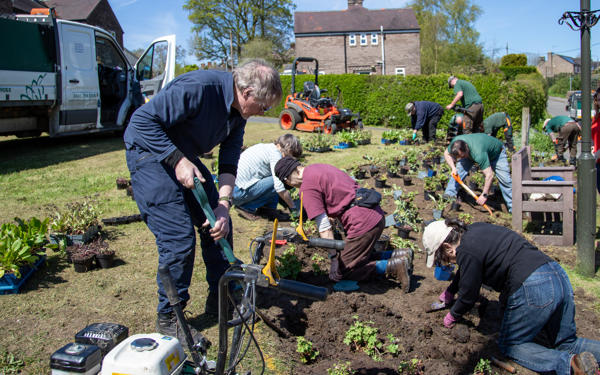 Planting flowers with Transition Crich