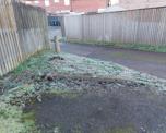 Frosty grass verge