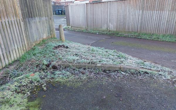 Frosty grass verge
