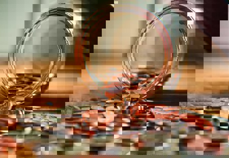 Josh Appel Netpasr Bmq Unsplash