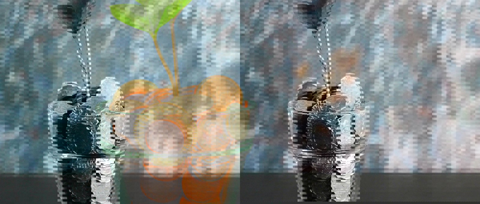 Micheile Henderson Zvprbbmt8qa Unsplash