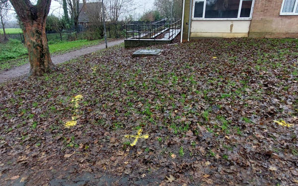 Muddy, leafy, grass