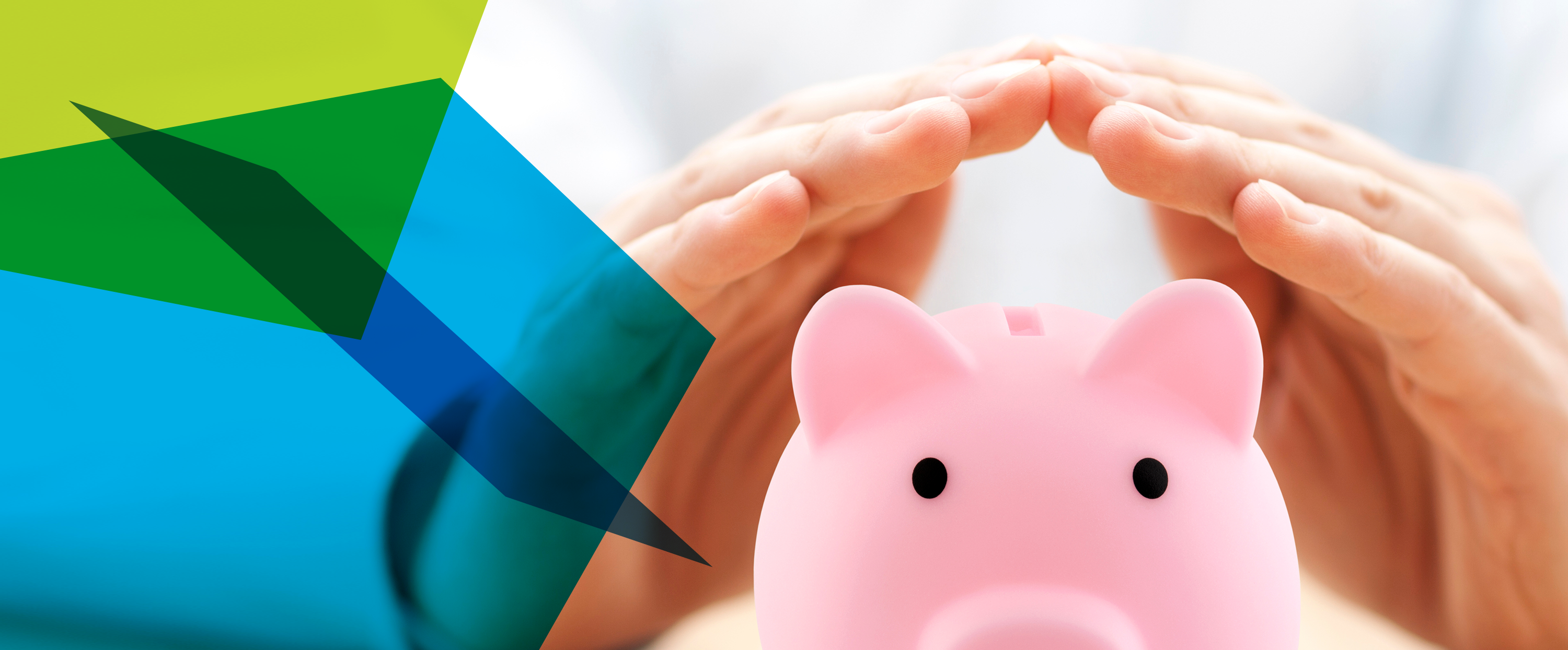 Photograph of a piggy bank with someone's hands arched above it as if they were sheltering it