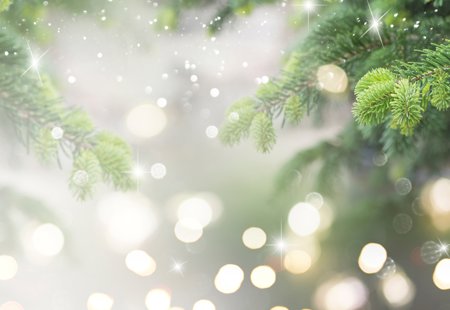 Christmas Tree Blurred Background