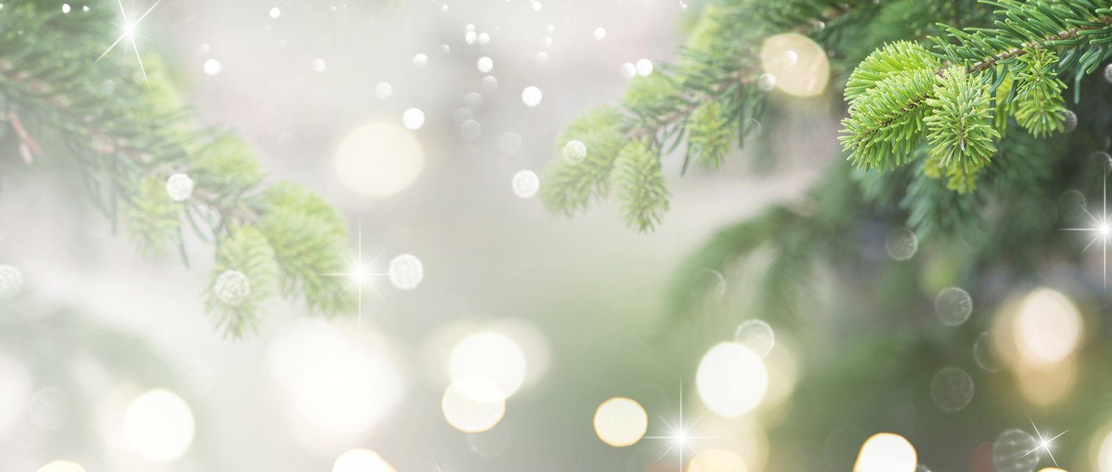 Christmas Tree Blurred Background