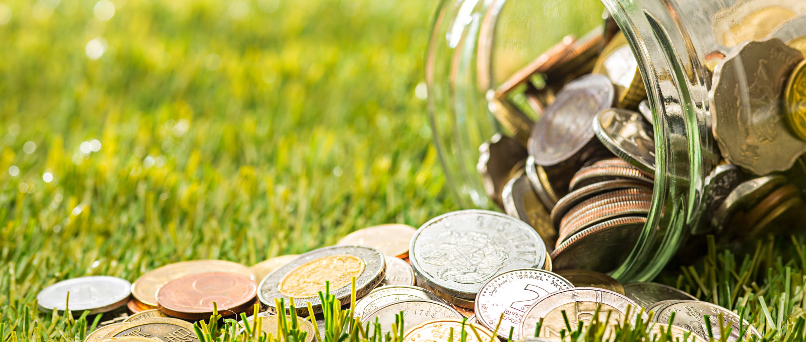 Coins Glass Jar Money Green Grass