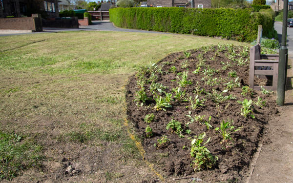 Grass verge with planted flowers