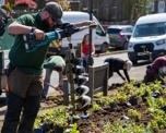 Planting flowers with Transition Crich