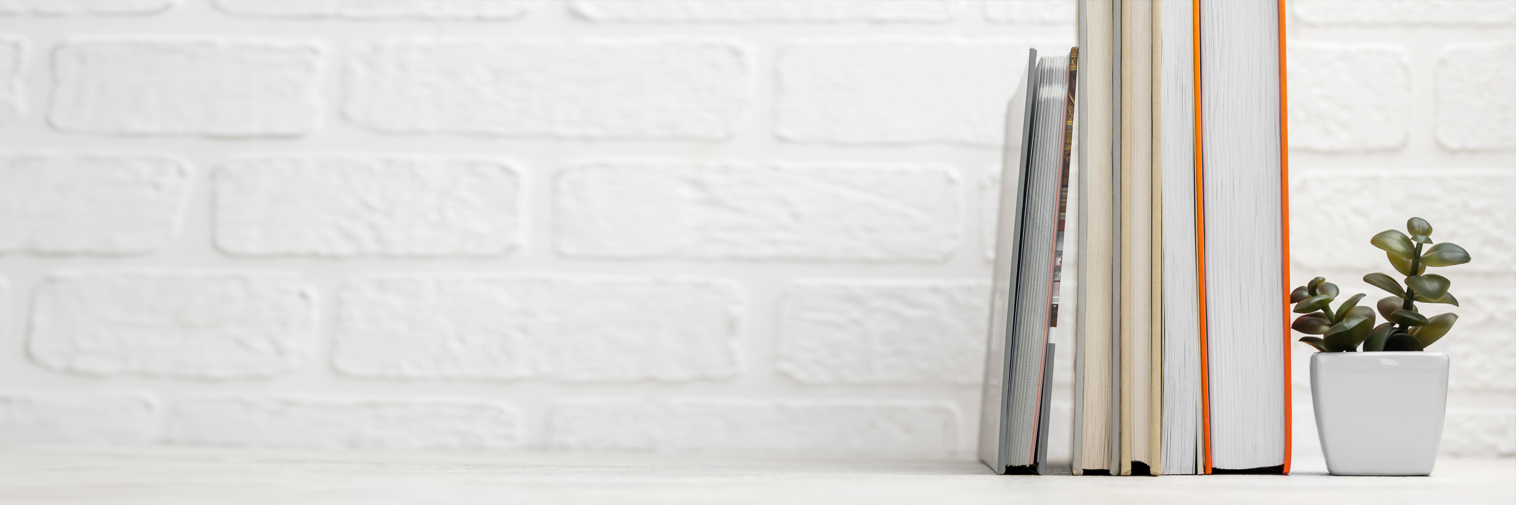 Five books and a small houseplant lined up together on a shelf indoors
