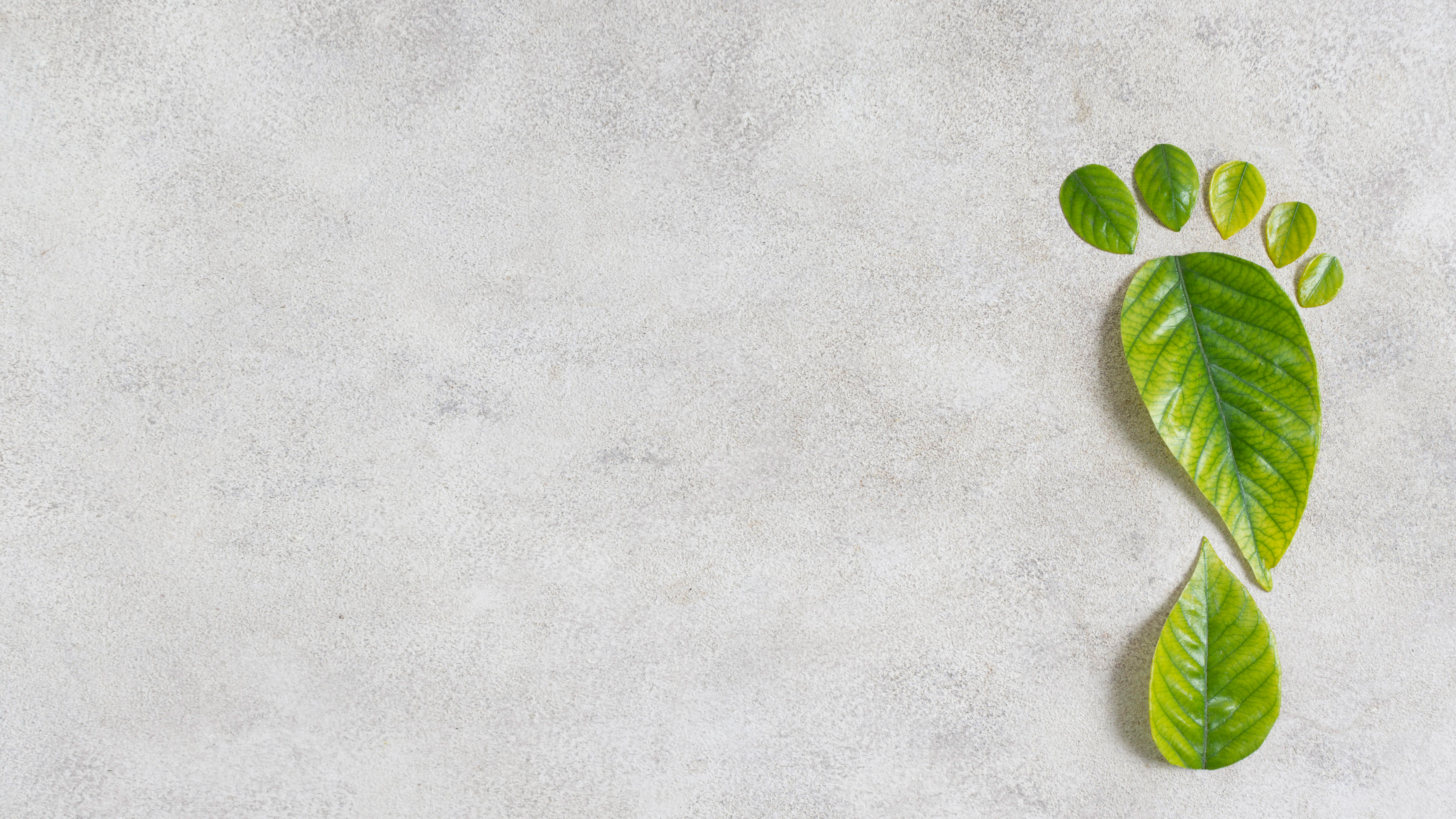 Photograph of leaves cut out and laid on a surface to make the shape of a footprint