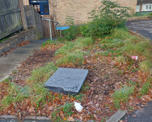 Messy grass area