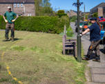 Grass verge