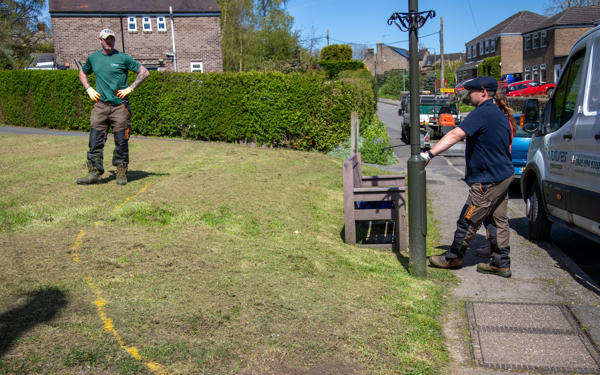 Grass verge