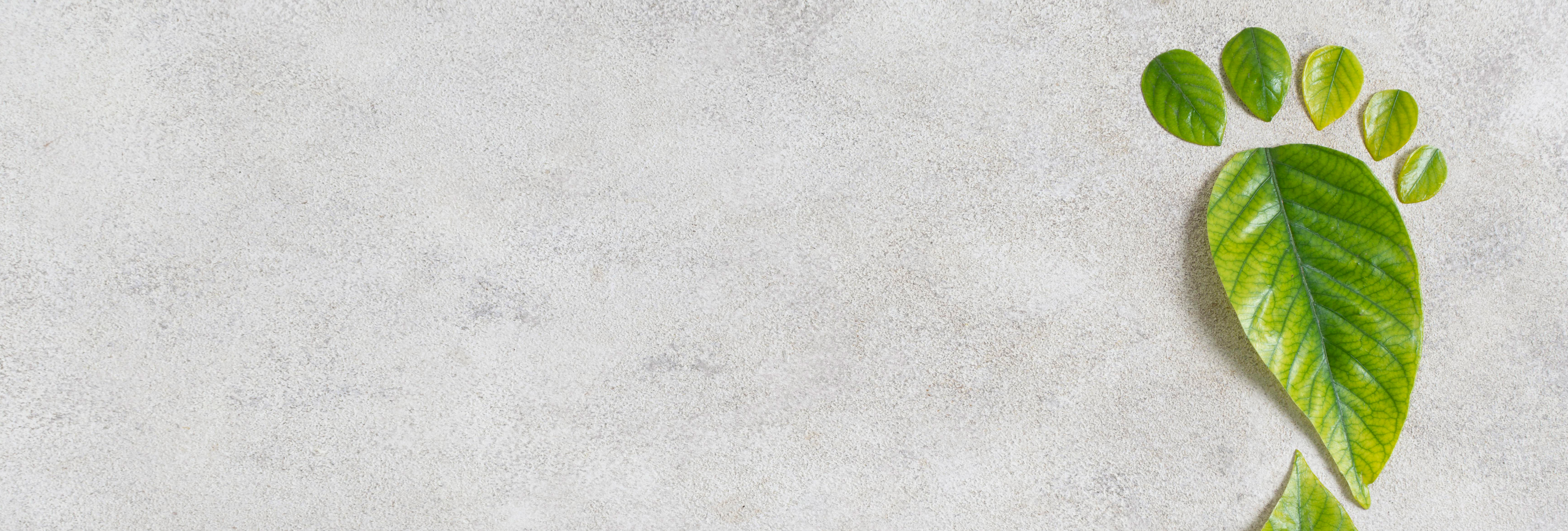 Green leaves arranged into the shape of a human foot