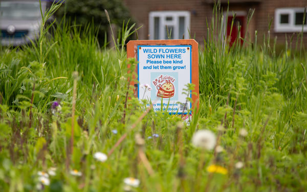 Ripley Wildflowerers sign