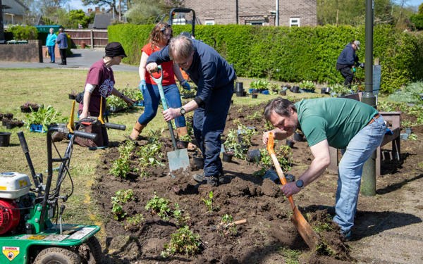 Planting flowers with Transition Crich