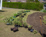 A grass verge, turfs of grass removed