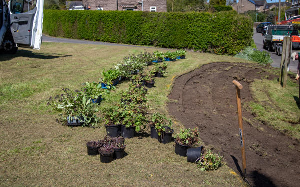A grass verge, turfs of grass removed