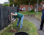Planting trees with the Ripley Wildflowerers