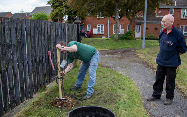 Planting trees with the Ripley Wildflowerers